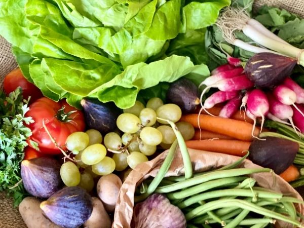 fruits et légumes frais bio locaux de saison