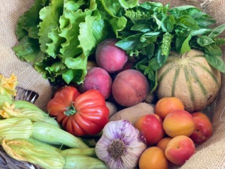 fruits et légumes bio locaux de saison