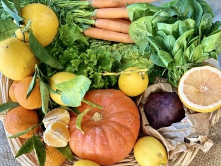 panier fruits légumes bio locaux