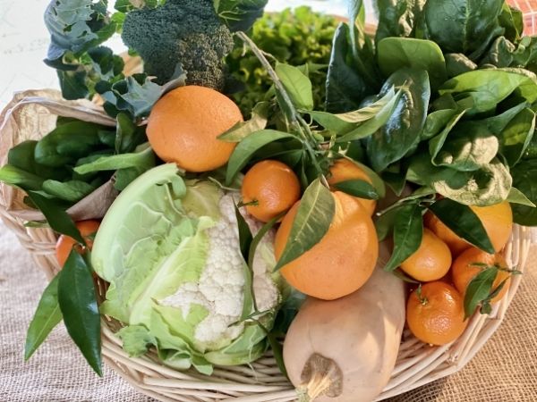 panier fruits légumes bio locaux