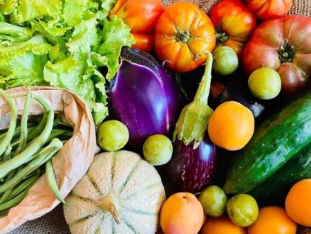 panier fruits légumes variés bio locaux